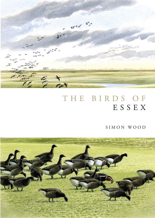 Produktbild: Birds of Essex
