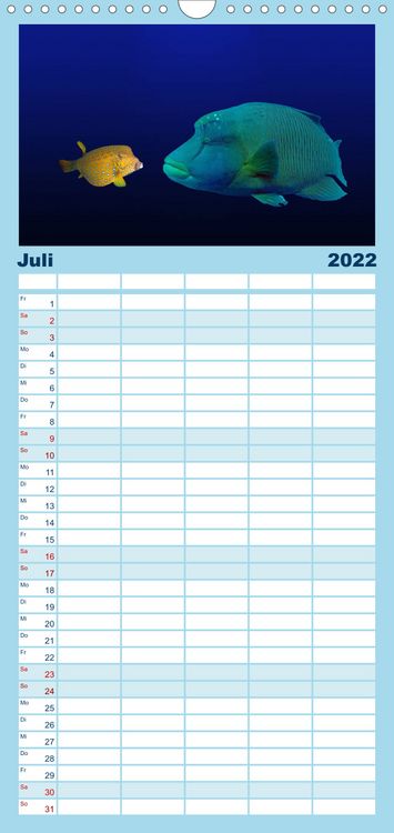 Produktbild: Riffleben - Einfach mal abtauchen - Familienplaner hoch (Wandkalender 2022 , 21 cm x 45 cm, hoch)