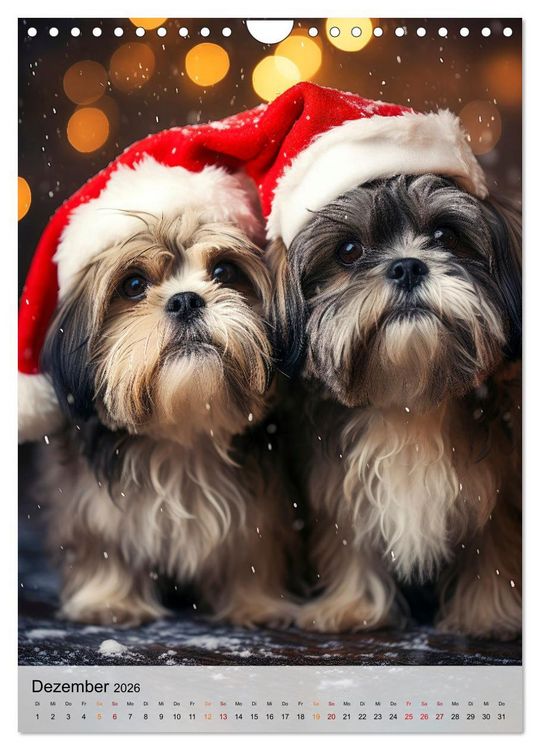 Produktbild: Shih Tzu - immer im Mittelpunkt (Wandkalender 2026 DIN A4 hoch), CALVENDO Monatskalender