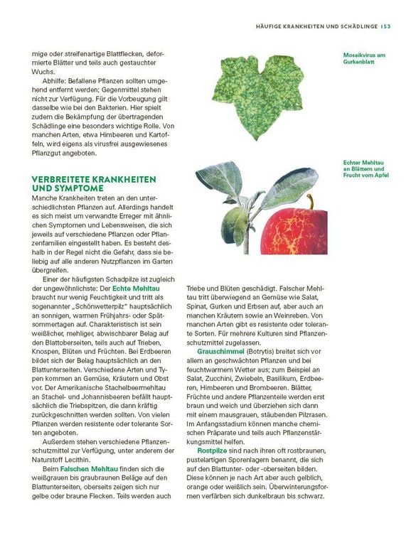 Produktbild: Das gro&szlig;e Gem&uuml;se- und Obstgartenbuch