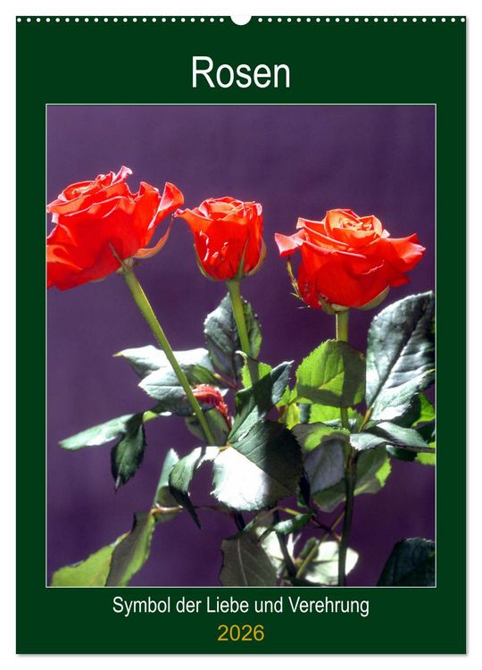Produktbild: Rosen - Symbol der Liebe und Verehrung (Wandkalender 2026 DIN A2 hoch), CALVENDO Monatskalender