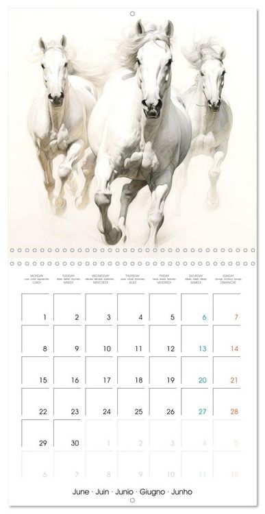 Produktbild: &Eacute;l&eacute;gance &eacute;quine (Calendrier mural carr&eacute; 2026 30x30 cm) Calendrier double avec une page pour vos prises de notes