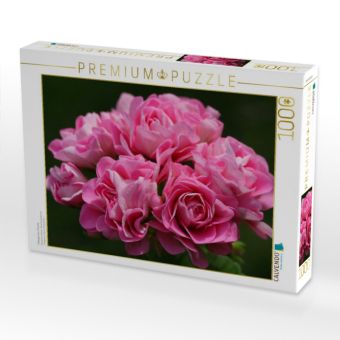 Produktbild: CALVENDO Puzzle Pelargonium Tr&auml;ume | 1000 Teile Lege-Gr&ouml;&szlig;e 64x48cm Foto-Puzzle f&uuml;r gl&uuml;ckliche Stunden