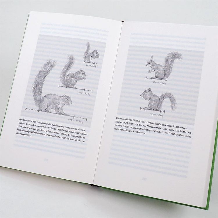 Produktbild: Das Leben der Eichh&ouml;rnchen