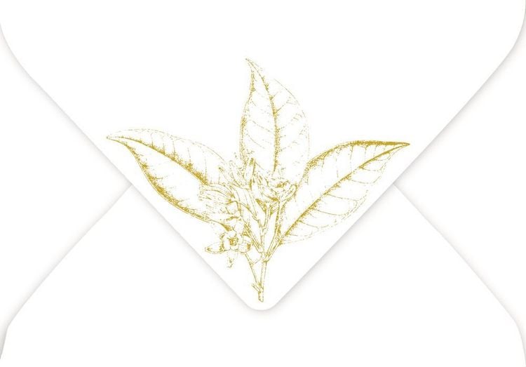Produktbild: Briefpapier-Set
