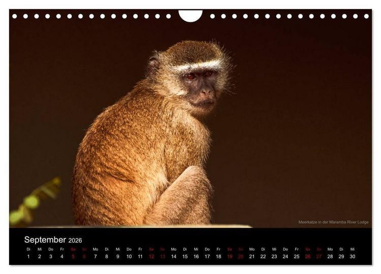 Produktbild: SAMBIA IM HERZEN AFRIKAS (Wandkalender 2026 DIN A4 quer), CALVENDO Monatskalender
