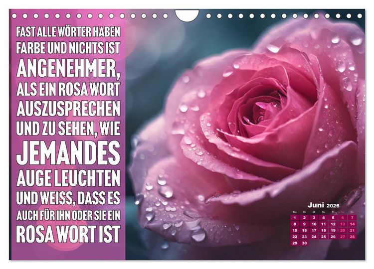 Produktbild: Lieblingsfarbe Rosa - mit coolen Spr&uuml;chen (Wandkalender 2026 DIN A4 quer), CALVENDO Monatskalender