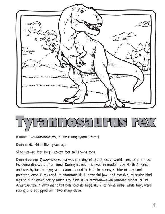Produktbild: Practice Writing with Dinosaurs!