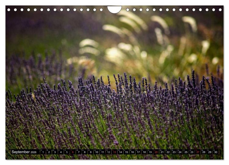 Produktbild: Frankreich - die Provence (Wandkalender 2026 DIN A4 quer), CALVENDO Monatskalender