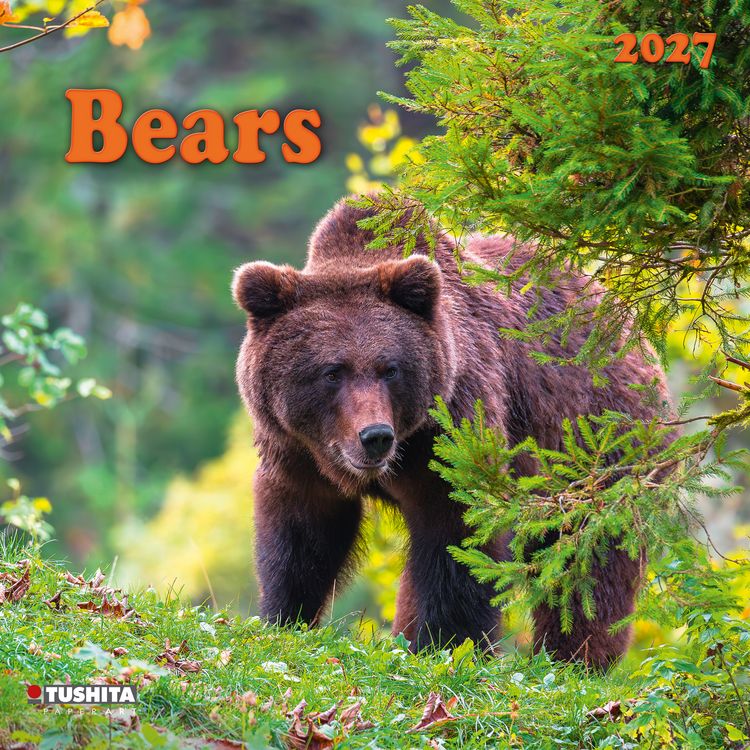 Produktbild: Bears 2027