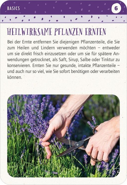 Produktbild: Blatt & Bl&uuml;te Heilsame Pflanzen