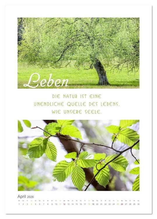 Produktbild: Quellen der Inspiration (Tischkalender 2026 DIN A5 hoch), CALVENDO Monatskalender