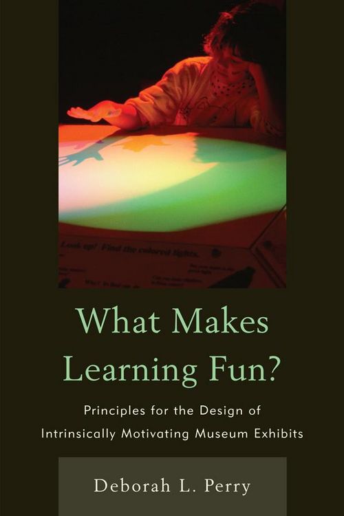 Produktbild: What Makes Learning Fun?