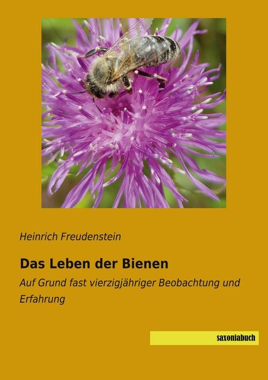 Produktbild: Das Leben der Bienen