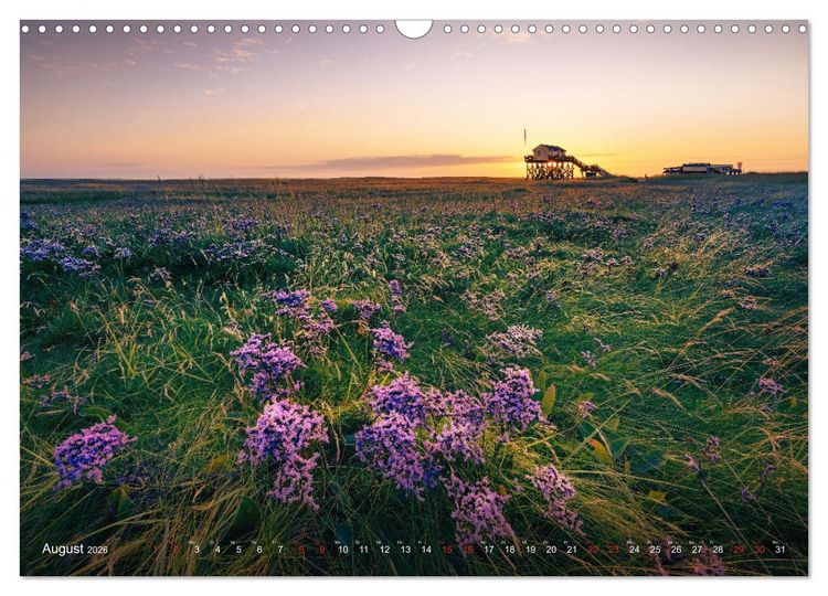 Produktbild: Nordseeurlaub in St. Peter-Ording (Wandkalender 2026 DIN A3 quer), CALVENDO Monatskalender