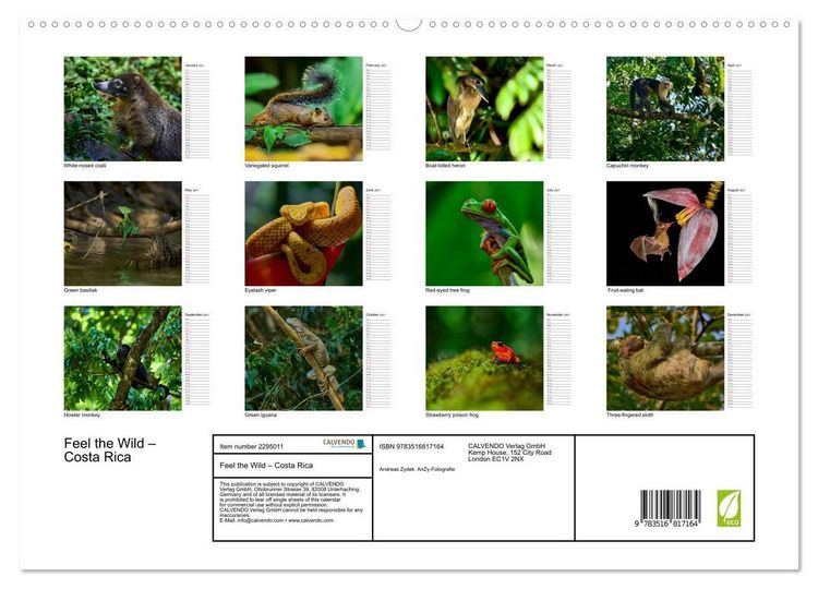 Produktbild: Feel the Wild &ndash; Costa Rica (High Quality Premium Wall Calendar 2027 DIN A2 landscape),CALVENDO 12 Month Wall Calendar