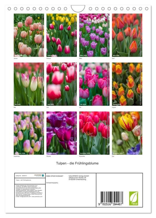 Produktbild: Tulpen - die Fr&uuml;hlingsblume (Wandkalender 2026 DIN A4 hoch), CALVENDO Monatskalender