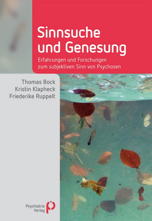 Produktbild: Sinnsuche und Genesung