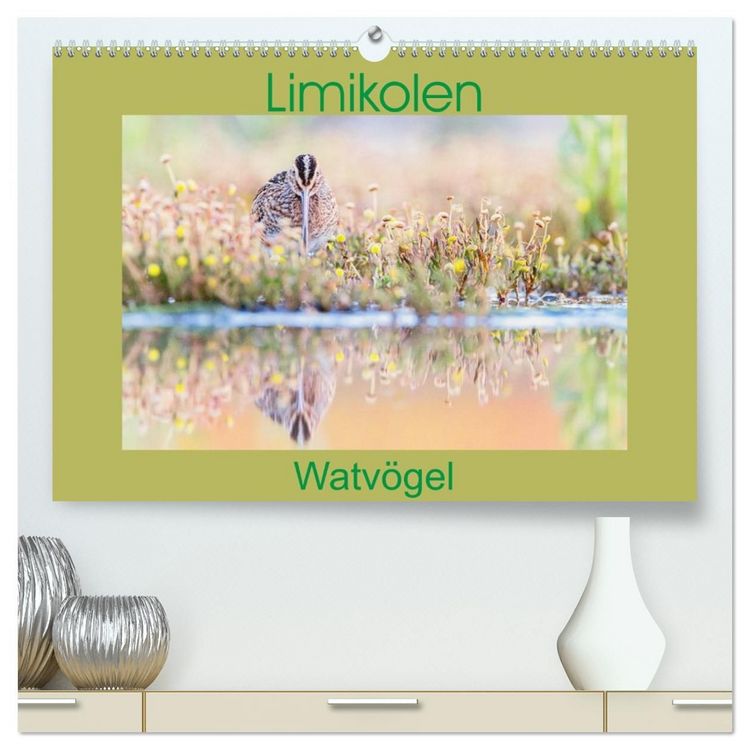 Produktbild: Limikolen - Watv&ouml;gel aus Europa (hochwertiger Premium Wandkalender 2027 DIN A2 quer), Kunstdruck in Hochglanz