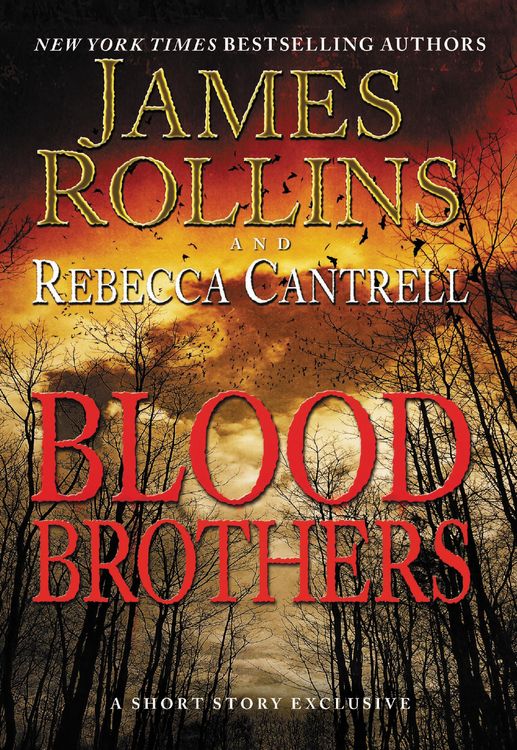 Produktbild: Blood Brothers
