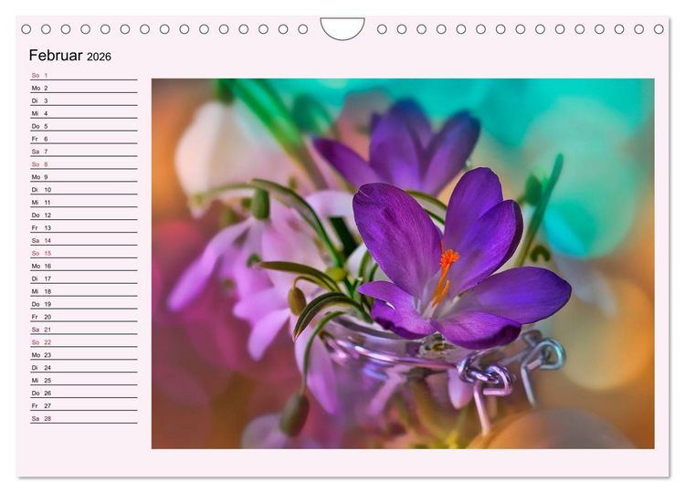 Produktbild: Lila - die mystische Farbe (Wandkalender 2026 DIN A4 quer), CALVENDO Monatskalender