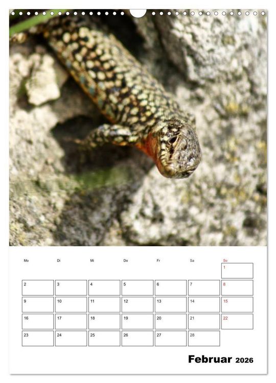 Produktbild: Heimische Wildtiere Terminplaner (Wandkalender 2026 DIN A3 hoch), CALVENDO Monatskalender