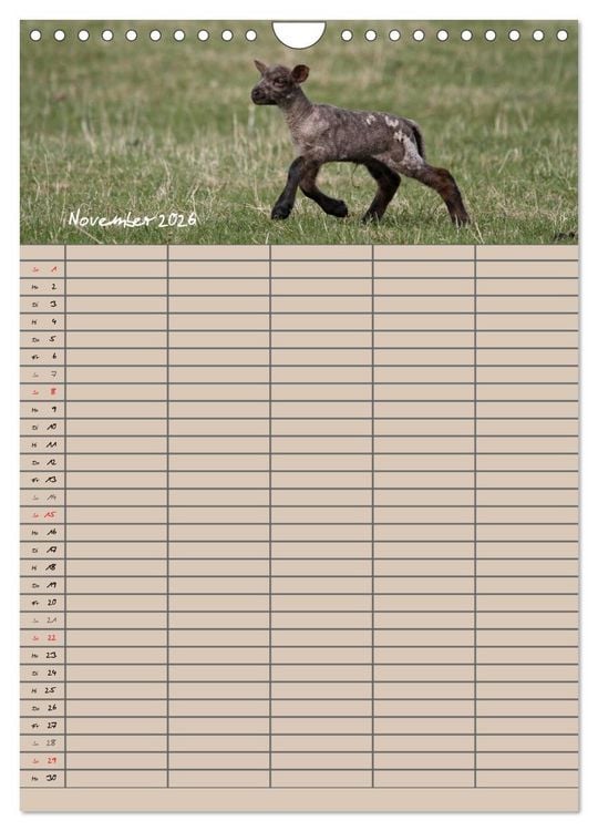 Produktbild: Der bel&auml;mmerte Familienplaner (Wandkalender 2026 DIN A4 hoch), CALVENDO Monatskalender