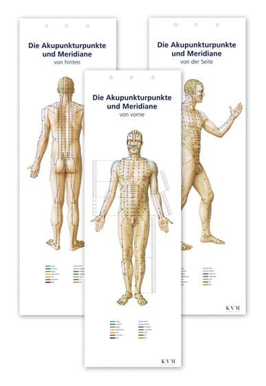 Produktbild: Lernposter: Akupunkturpunkte und Meridiane
