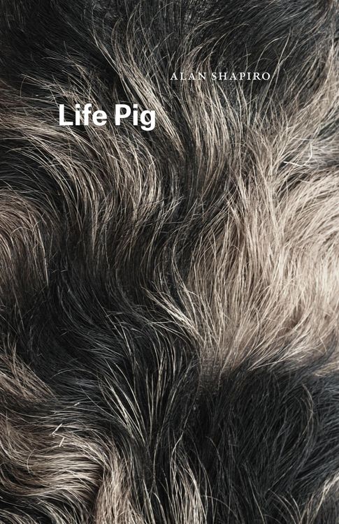 Produktbild: Life Pig