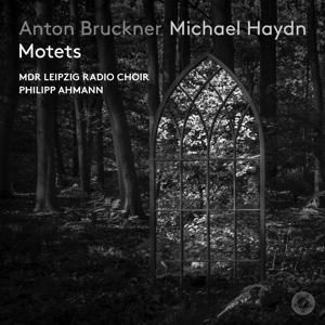 Produktbild: Motette