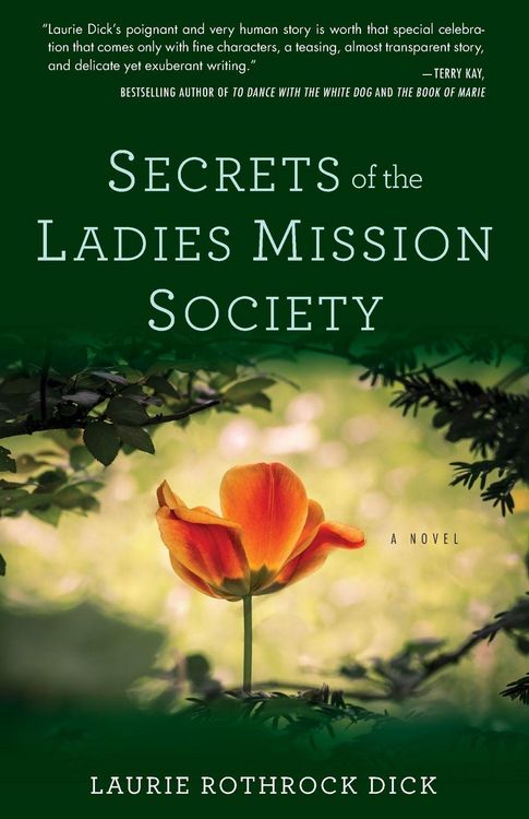 Produktbild: Secrets of the Ladies Mission Society