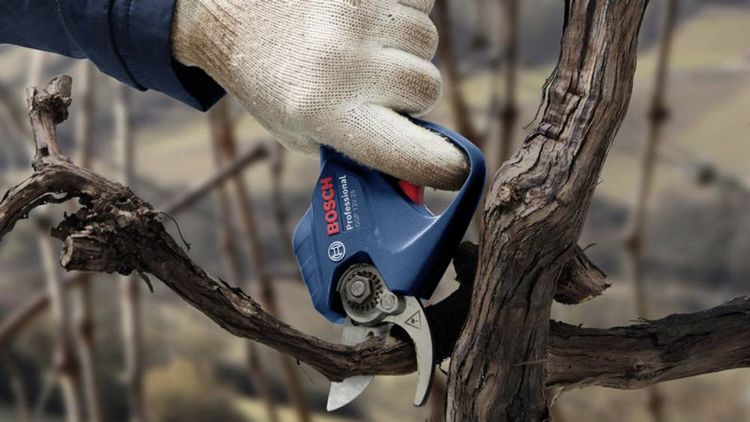 Produktbild: Bosch Professional 06008D8100 GGP 12V-25 Akku-Gartenschere