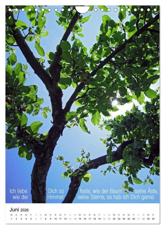 Produktbild: Licht Farbe Natur (Wandkalender 2026 DIN A4 hoch), CALVENDO Monatskalender