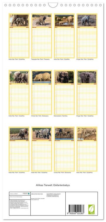 Produktbild: Familienplaner 2026 - Afrikas Tierwelt: Elefantenbabys mit 5 Spalten (Wandkalender, 21 x 45 cm) CALVENDO