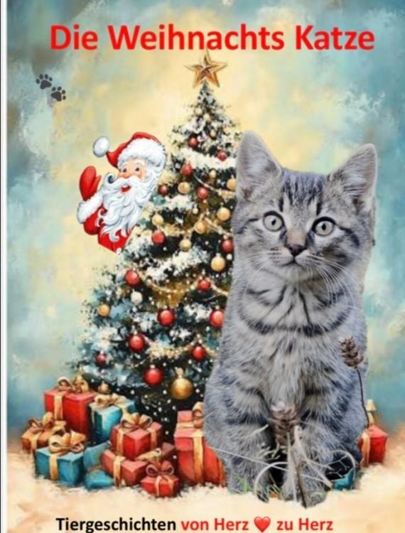 Produktbild: Die Weihnachts Katze