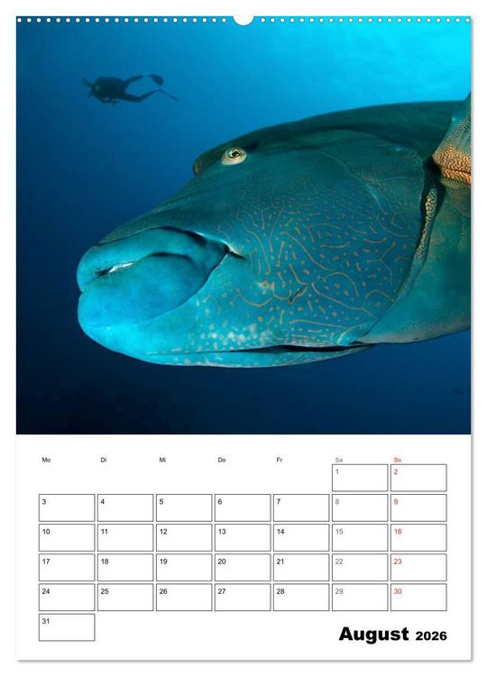 Produktbild: Tauchen - Abtauchen und Staunen (Wandkalender 2026 DIN A2 hoch), CALVENDO Monatskalender