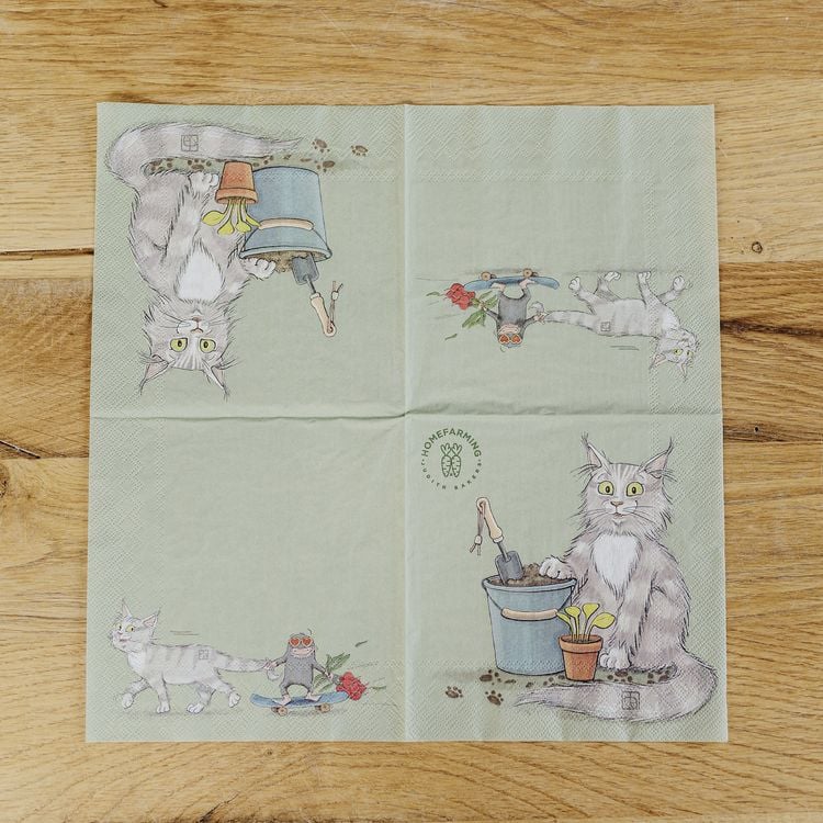 Produktbild: Servietten &ldquo;Kater Jack und Maulwurf G&uuml;nter&rdquo;