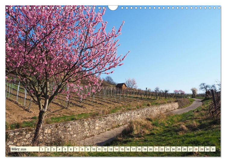 Produktbild: Bensheim a. d. Bergstra&szlig;e - Ein Stadtspaziergang (Wandkalender 2026 DIN A3 quer), CALVENDO Monatskalender