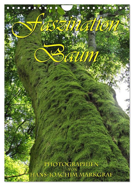 Produktbild: Faszination Baum (Wandkalender 2026 DIN A4 hoch), CALVENDO Monatskalender