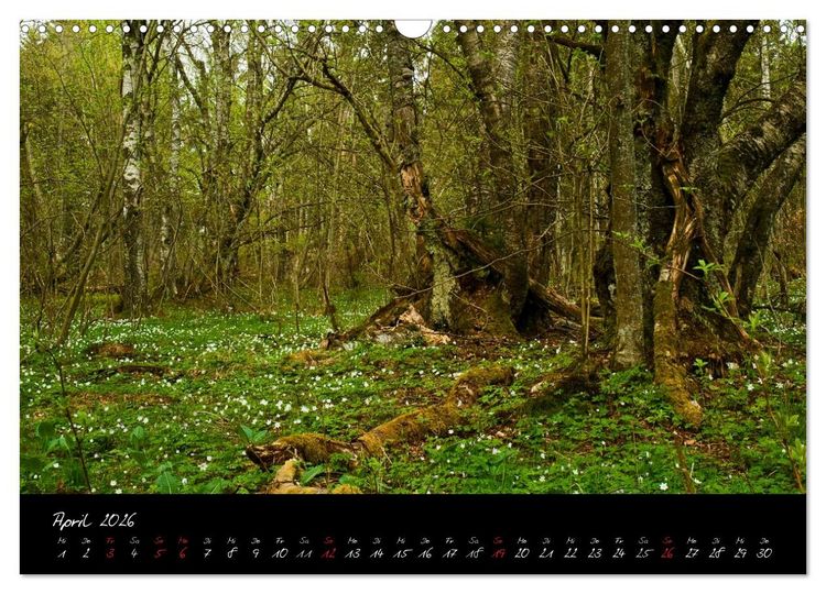Produktbild: RH&Ouml;N = SCH&Ouml;N (Wandkalender 2026 DIN A3 quer), CALVENDO Monatskalender