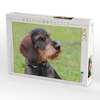 Produktbild: CALVENDO Puzzle Ein Motiv aus dem Kalender Liebenswerte Rabauken Rauhaardackel / CH-Version | 1000 Teile Lege-Gr&ouml;&szlig;e 64x48cm Foto-Puzzle f&uuml;r gl&uuml;ckliche Stunden