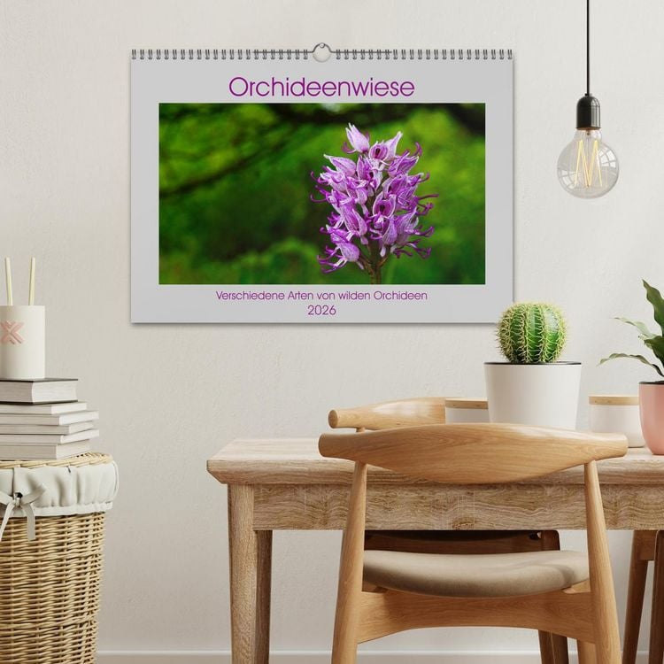 Produktbild: Orchideenwiese 2026 (Wandkalender 2026 DIN A3 quer), CALVENDO Monatskalender