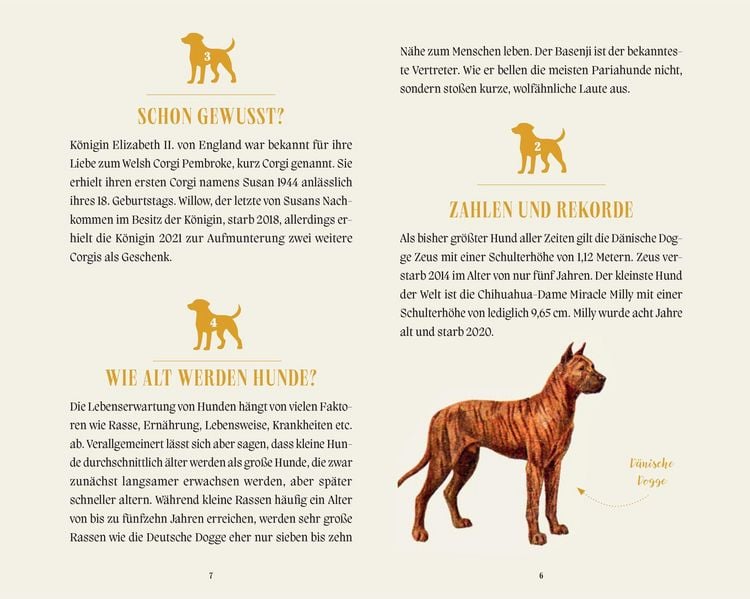 Produktbild: Hunde