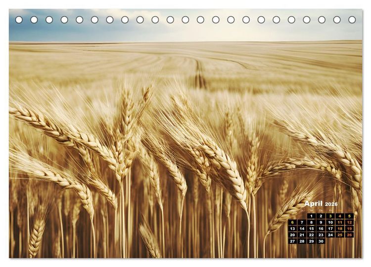 Produktbild: Von oben betrachtet Landschaften aus der Vogelperspektive (Tischkalender 2026 DIN A5 quer), CALVENDO Monatskalender