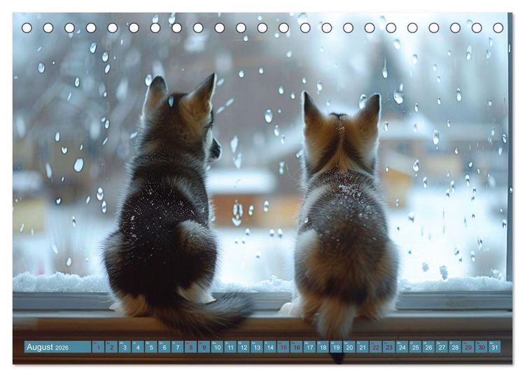Produktbild: Schlittenhund Tr&auml;ume (Tischkalender 2026 DIN A5 quer), CALVENDO Monatskalender