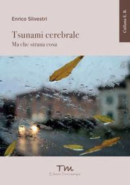 Produktbild: Tsunami cerebrale. Ma che strana cosa