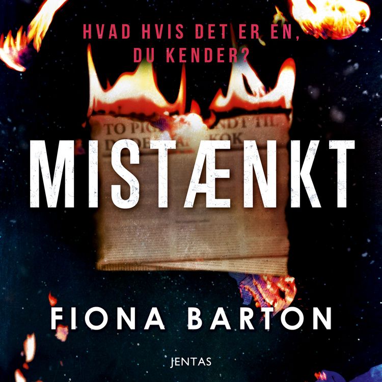 Produktbild: Mist&aelig;nkt
