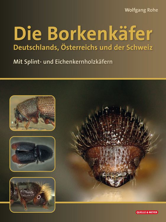 Produktbild: Die Borkenk&auml;fer Deutschlands, &Ouml;sterreichs und der Schweiz