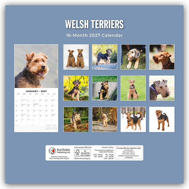 Produktbild: Welsh Terriers &ndash; Welsh Terrier 2027 &ndash; 16-Monatskalender