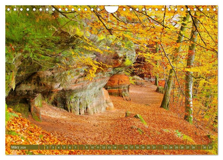 Produktbild: Der Altschlossfelsen - Gr&ouml;&szlig;te Felsformation der Pfalz im herbstlichen Farbspiel (Wandkalender 2026 DIN A4 quer), CALVENDO Monatskalender